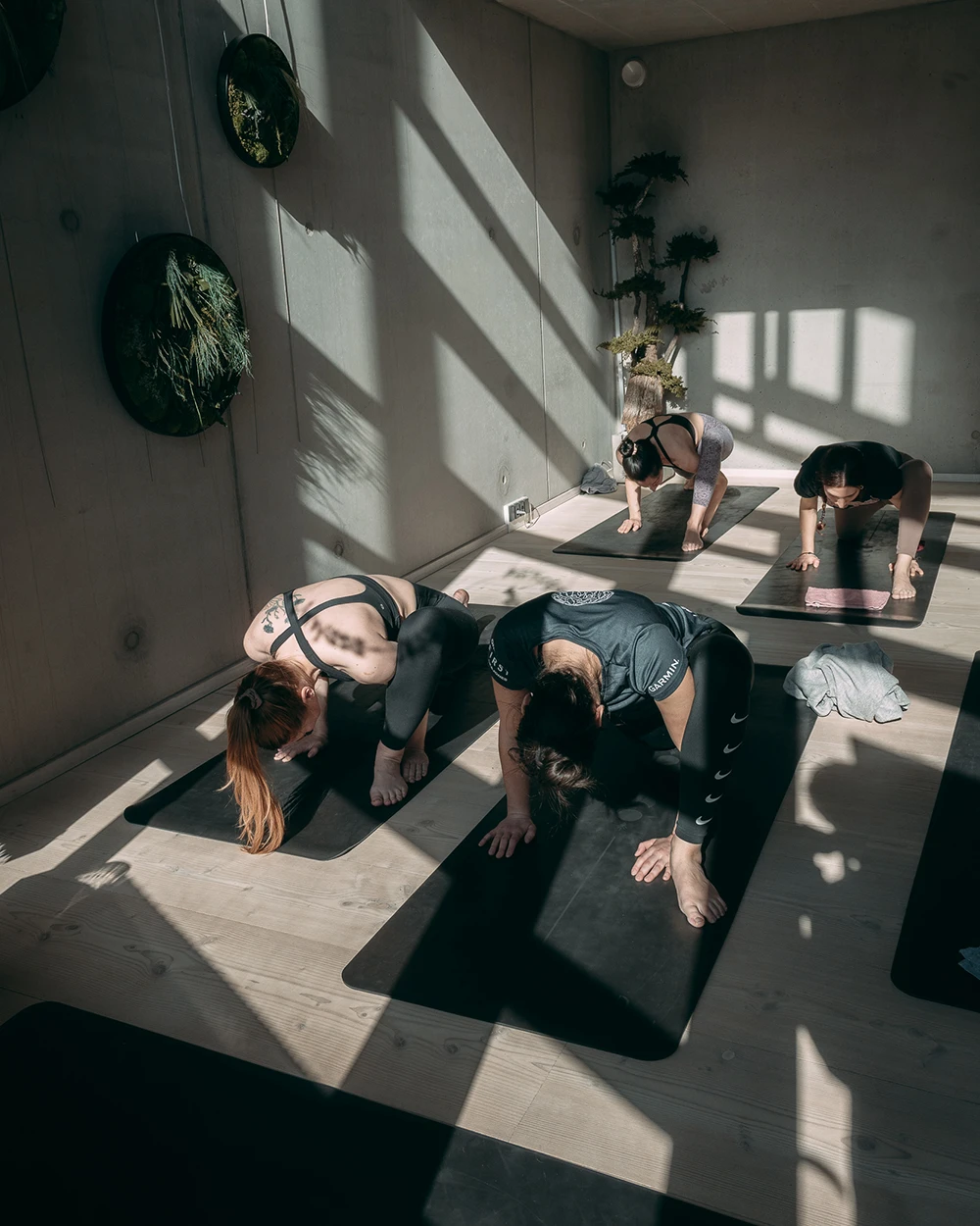 Yoga Strength class at Ali Yoga Studio